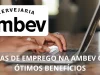 NÃO EXIGE EXPERIÊNCIA! Ambev oferece vaga para Promotor(a) de Vendas