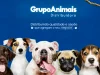 Grupo Animais divulga 06 vagas em diversas áreas